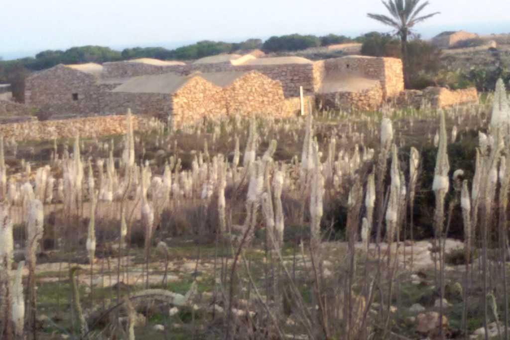 Gli antichi Dammusi a Lampedusa